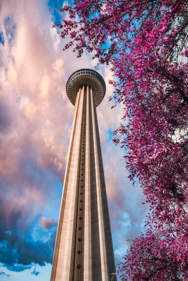 Alamo City Haven San Antonio Dış mekan fotoğraf